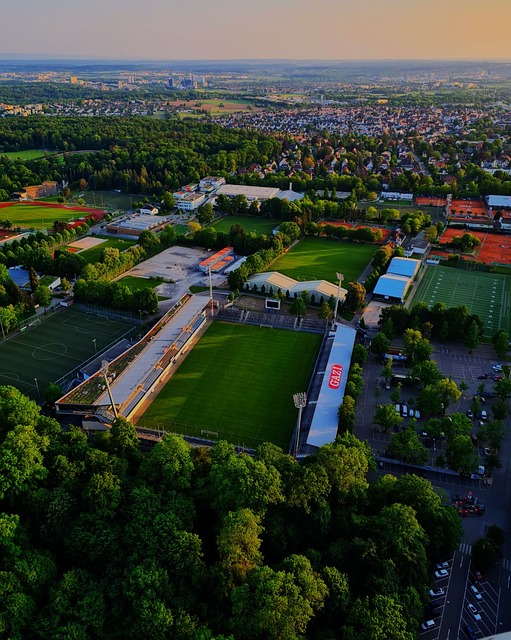 关于莱万将 关于莱万将