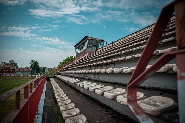 阔的视野 阔的视野