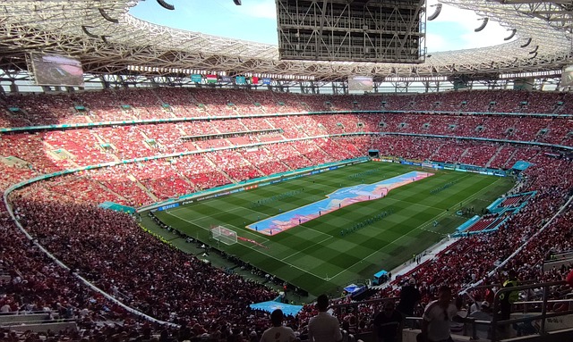 术灵活性 术灵活性