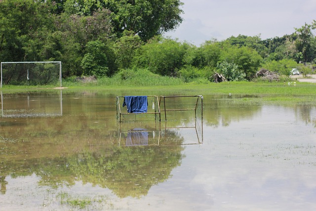 队在比赛中 队在比赛中
