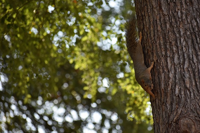 他更希望延 他更希望延