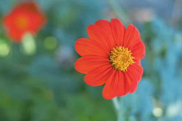 沃尔夫斯堡 沃尔夫斯堡