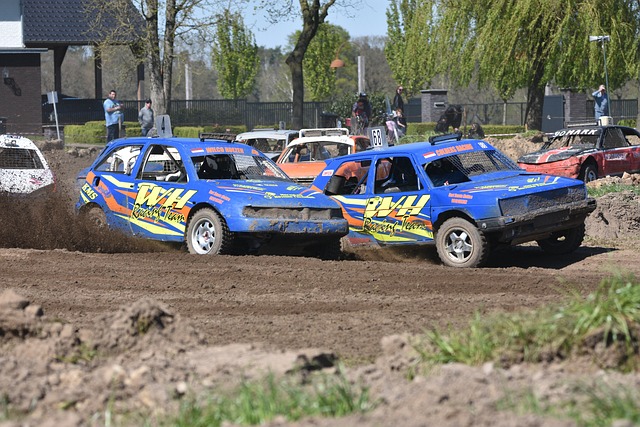 本土核心 本土核心